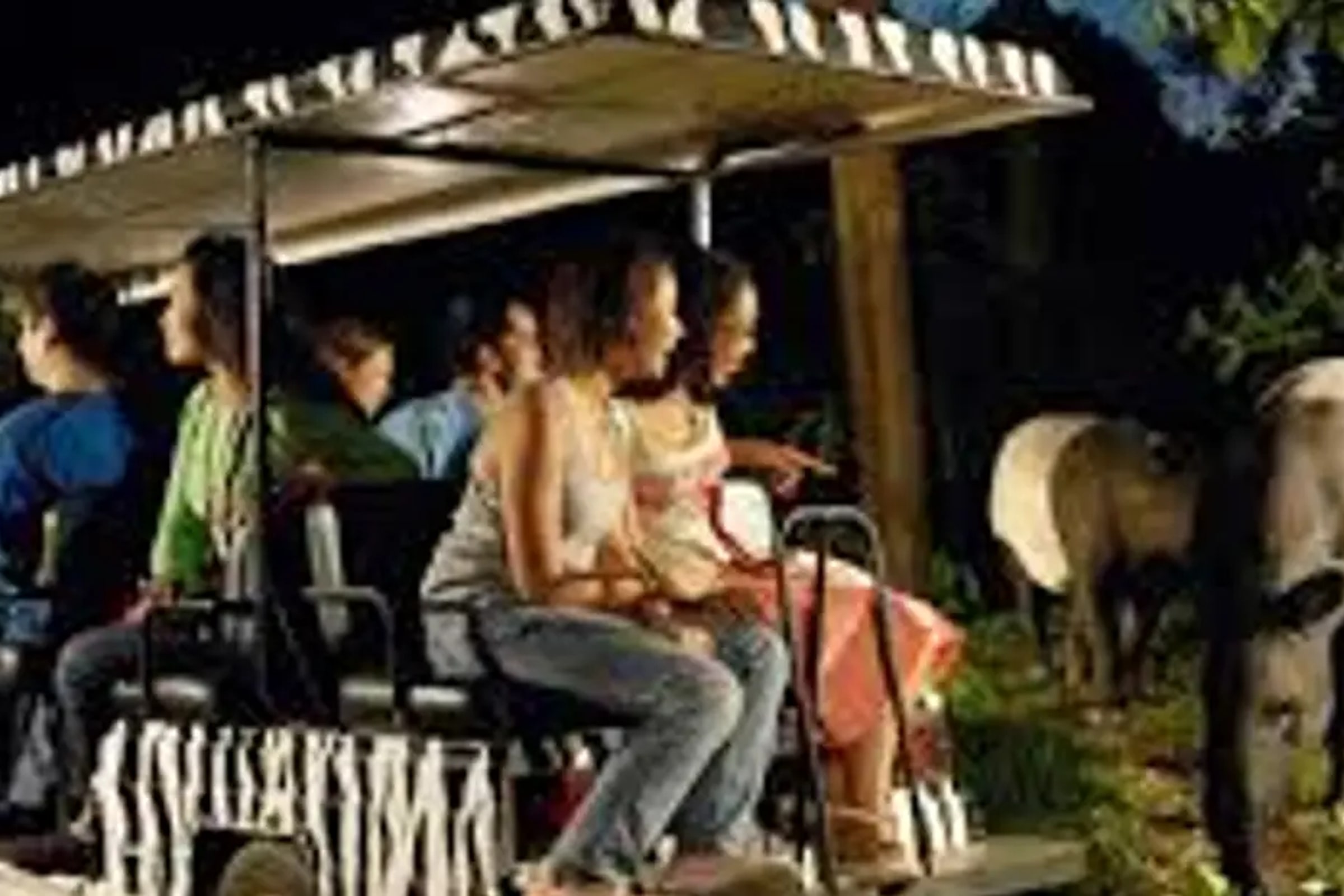 Singapore Night Safari Tram Ride (Shared Transfer)